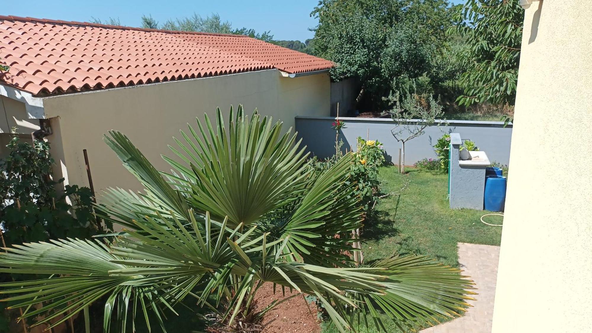 Apartments Monte Magno Pula Extérieur photo